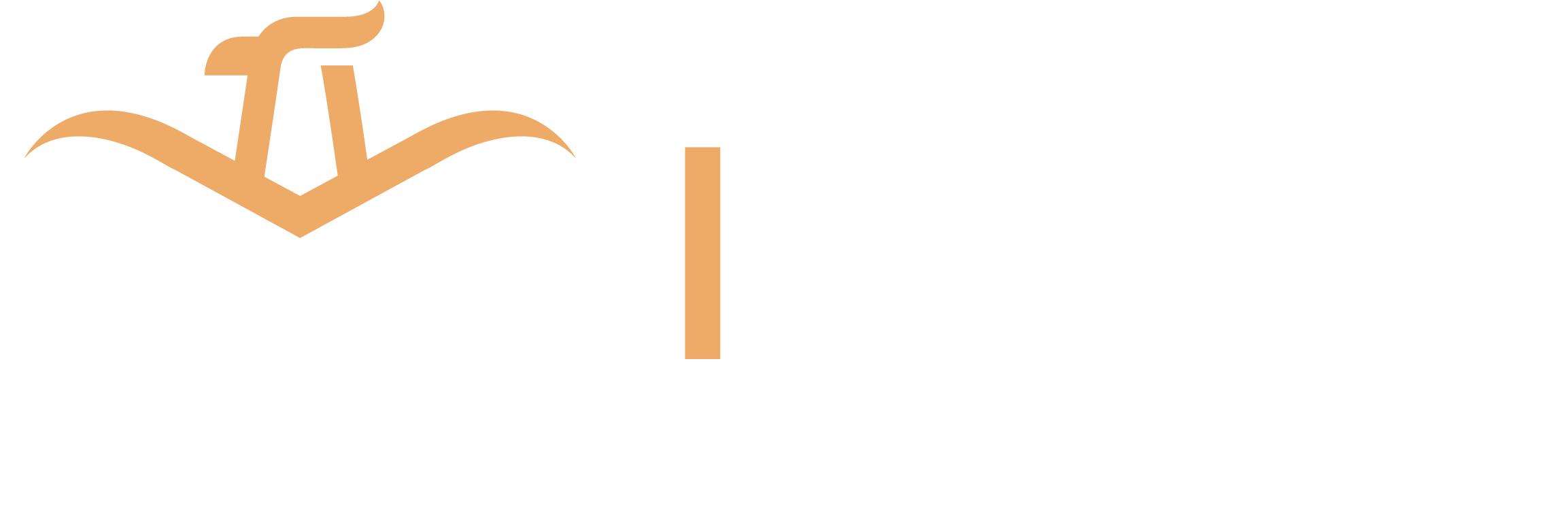 Irada Logo